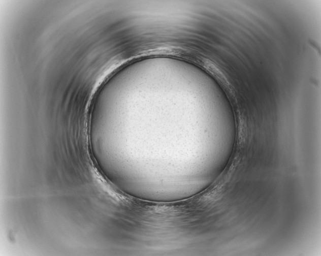 X0000101440800200807281021