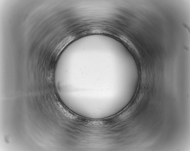 X0000101440801200807281021