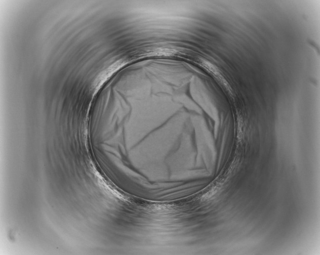 X0000101440802200807281021