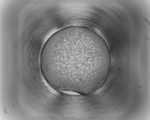 X0000101440803200807281021