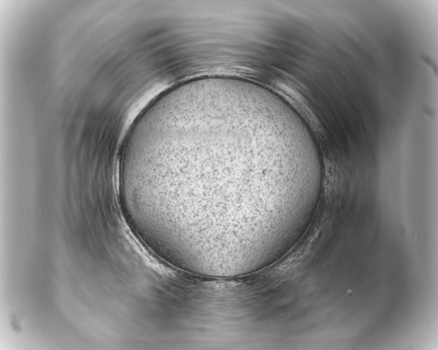 X0000101440804200807281021