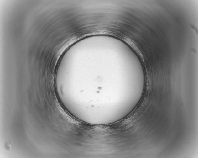 X0000101440805200807281021