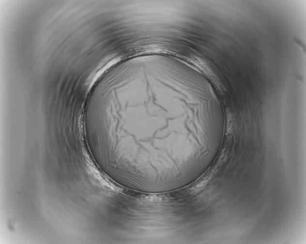 X0000101440806200807281021