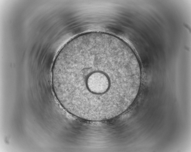 X0000101440807200807281021