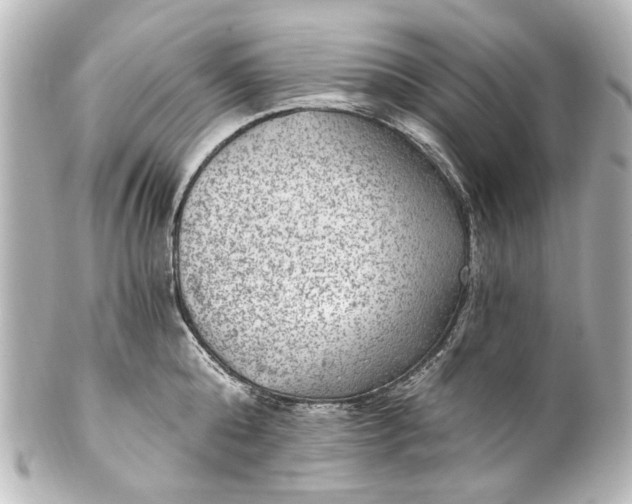 X0000101440808200807281021