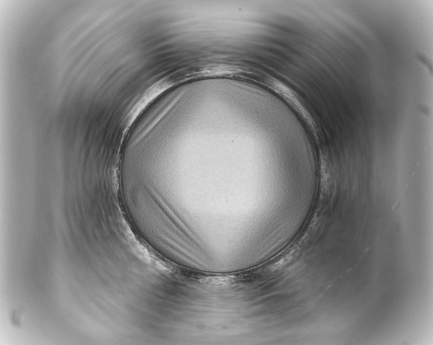 X0000101440810200807281021