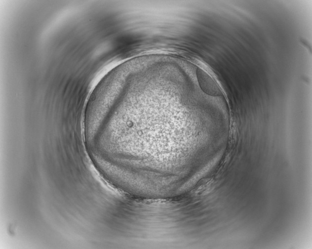 X0000101440811200807281021