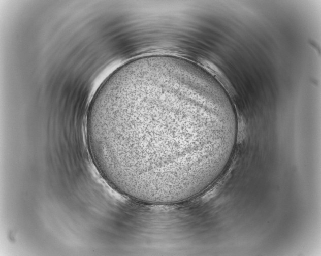 X0000101440812200807281021