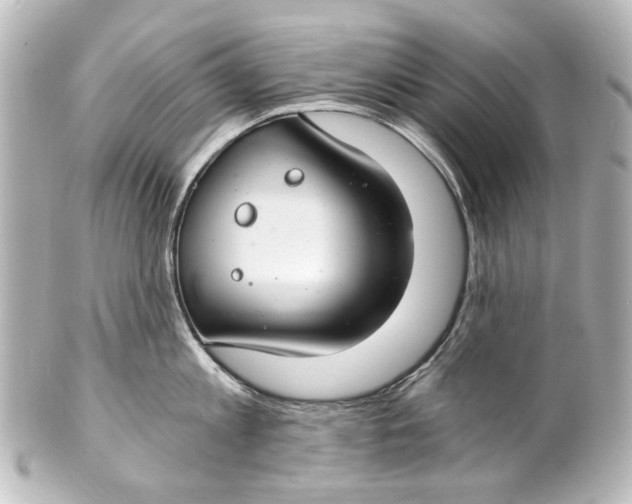 X0000101440813200807281021