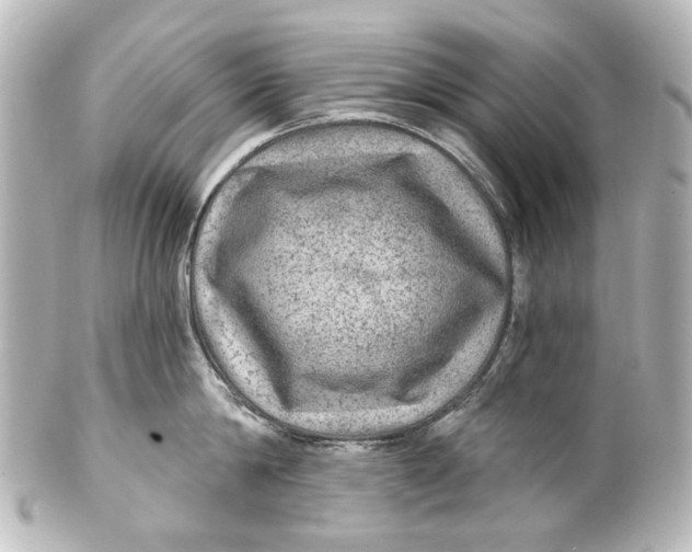 X0000101440814200807281021