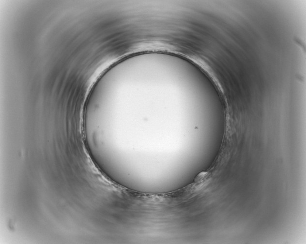 X0000101440815200807281021