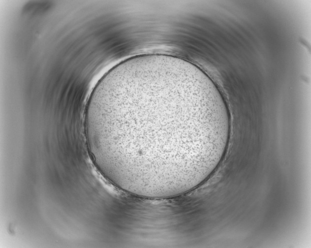 X0000101440816200807281021