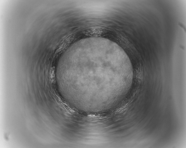 X0000101440818200807281020