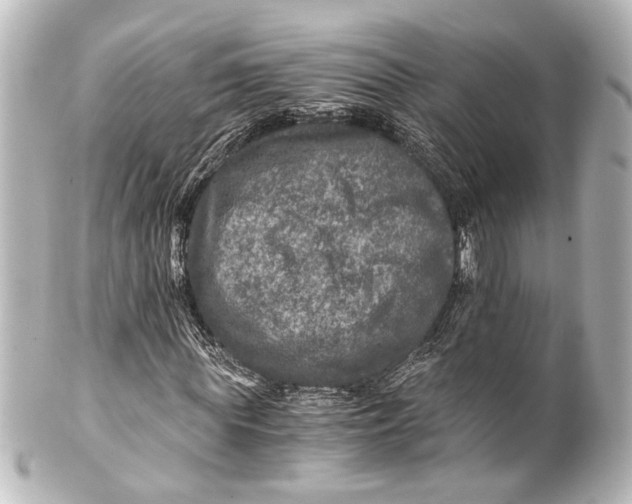 X0000101440819200807281020