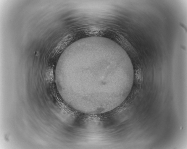 X0000101440820200807281020