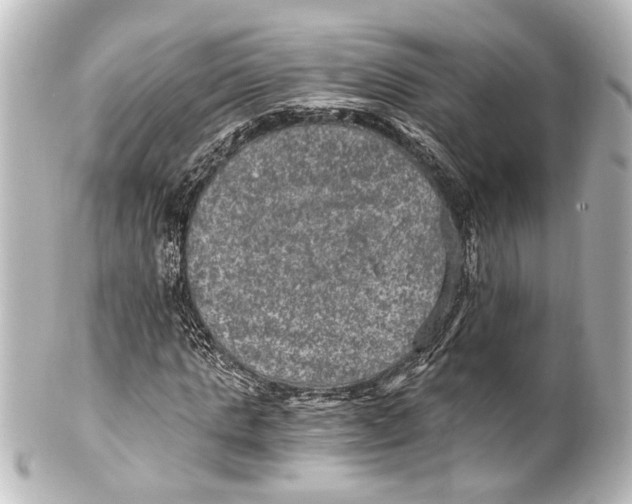 X0000101440821200807281020