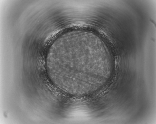 X0000101440822200807281020