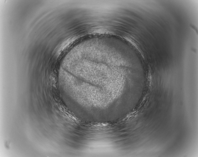 X0000101440823200807281020