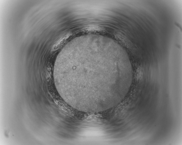 X0000101440824200807281020