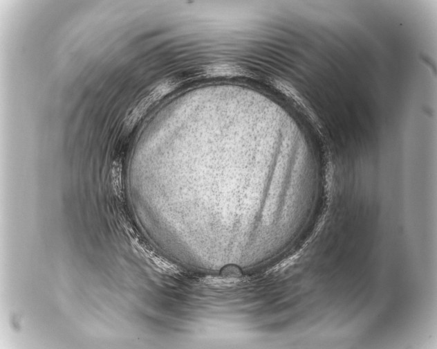 X0000101440825200807281020