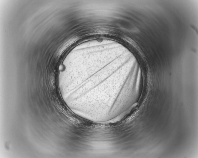 X0000101440826200807281020