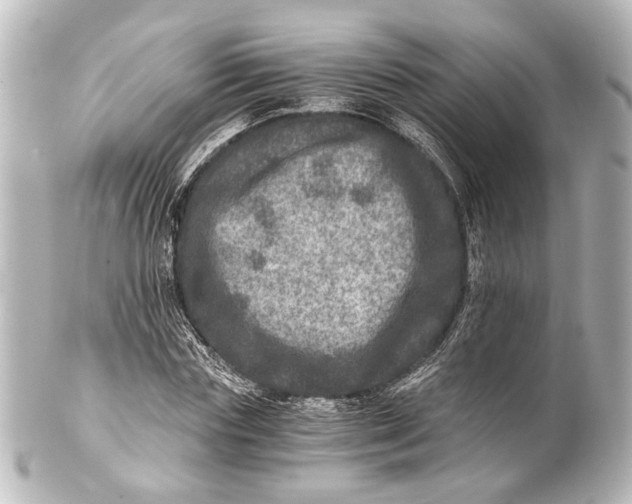 X0000101440827200807281020