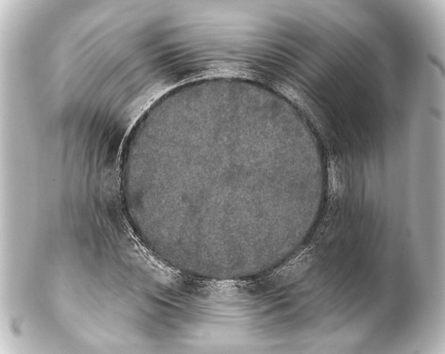 X0000101440828200807281020