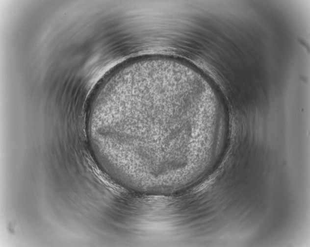 X0000101440830200807281020