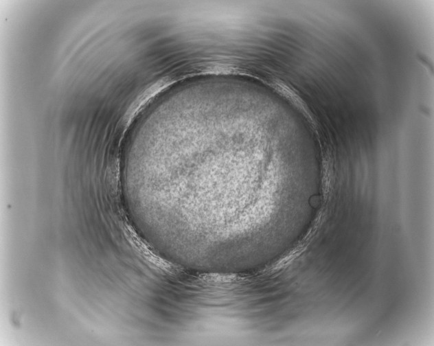 X0000101440831200807281020