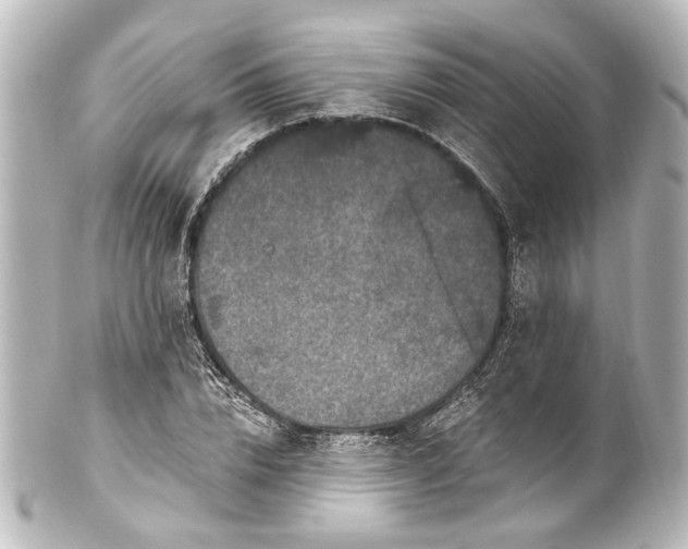 X0000101440832200807281020