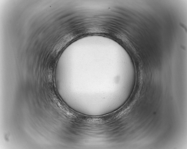 X0000101440833200807281020