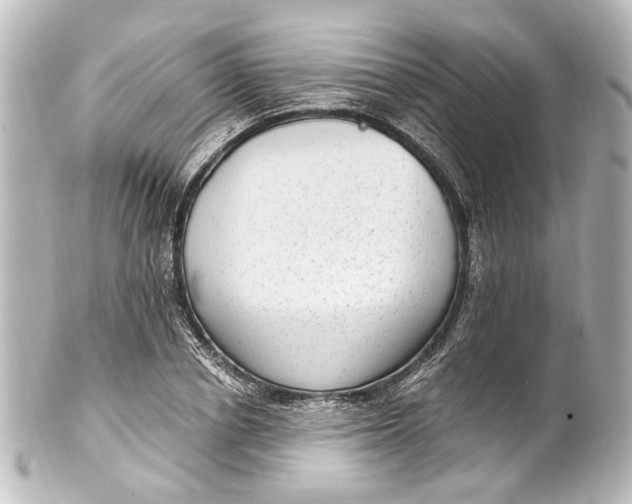 X0000101440834200807281021