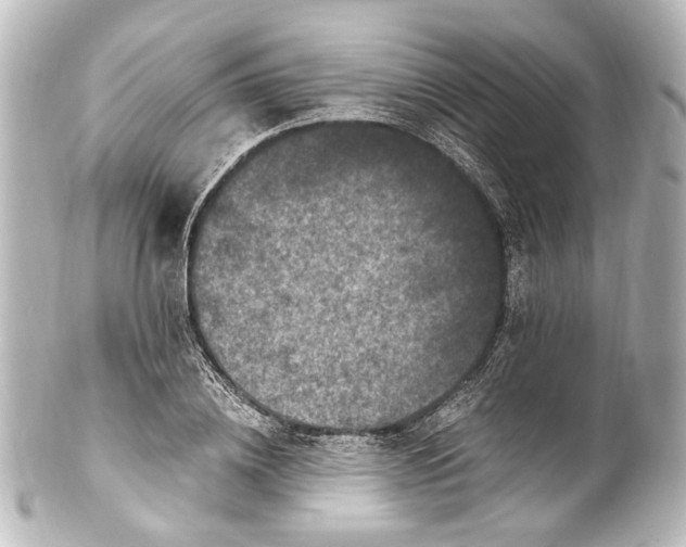 X0000101440836200807281021