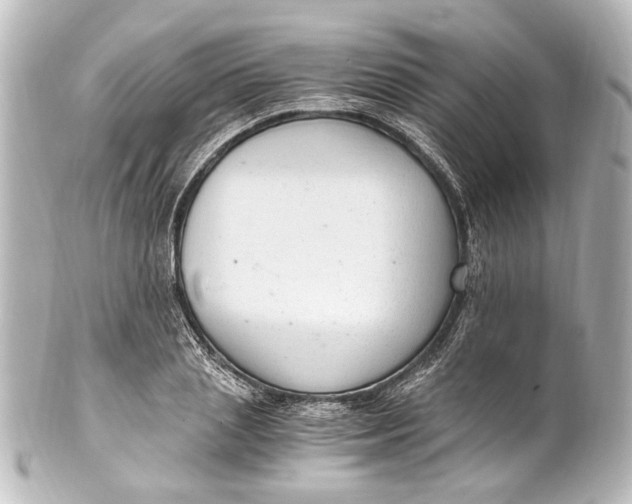 X0000101440837200807281021