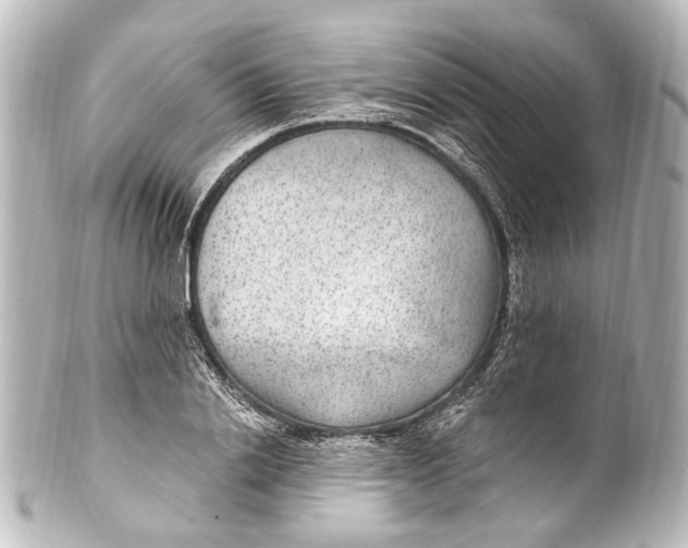 X0000101440838200807281021