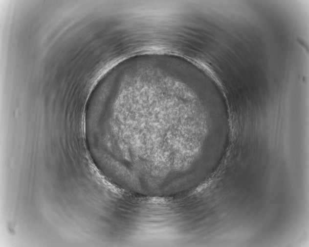 X0000101440839200807281021