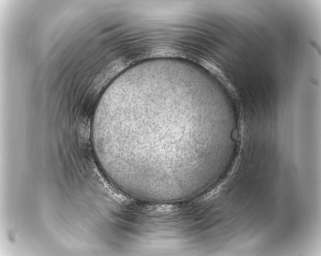 X0000101440841200807281021