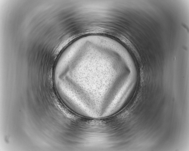 X0000101440842200807281021