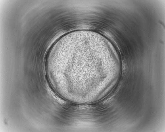 X0000101440843200807281021