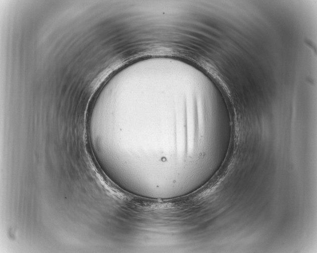 X0000101440845200807281021