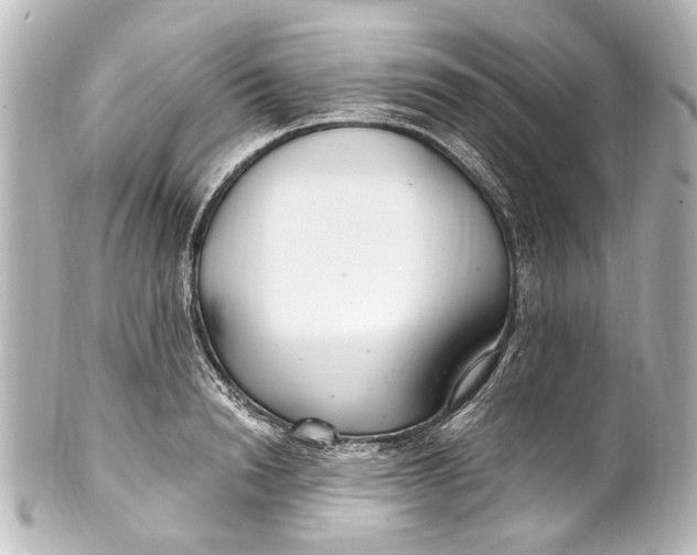 X0000101440846200807281021