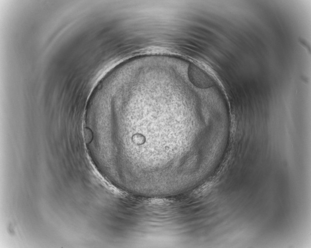 X0000101440847200807281021