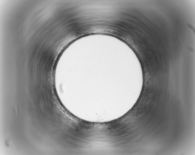 X0000101440848200807281021