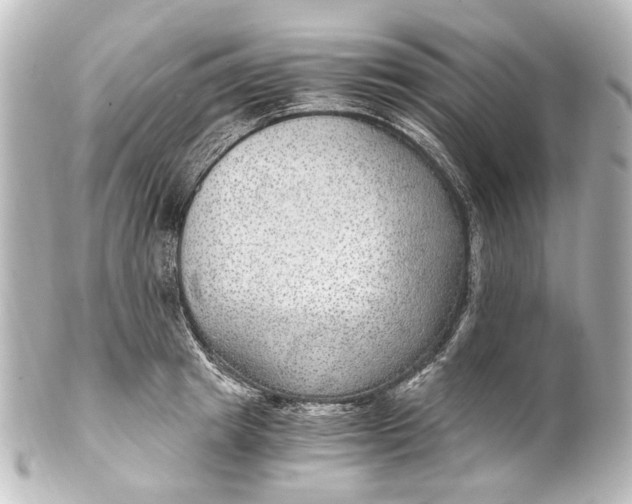 X0000101440849200807281021