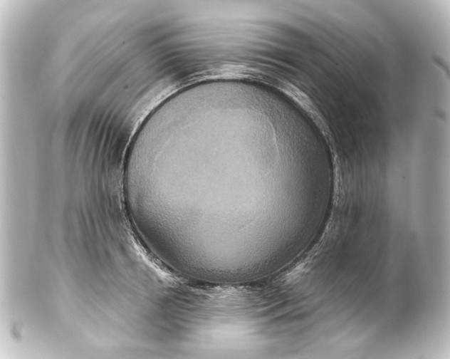 X0000101440850200807281021