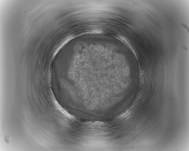 X0000101440851200807281021