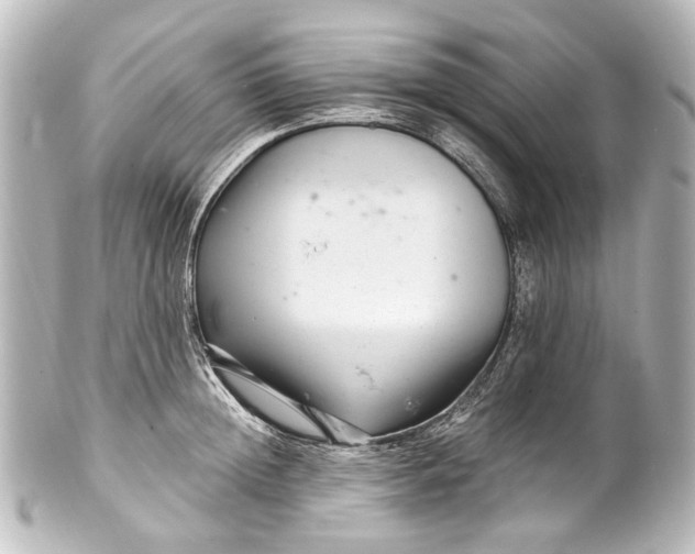 X0000101440852200807281021