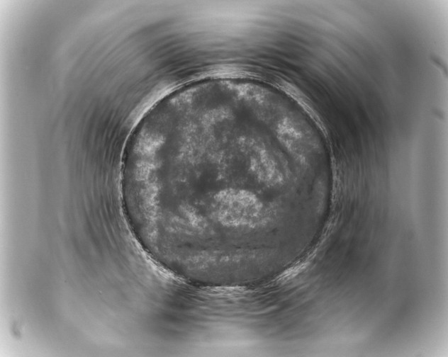 X0000101440853200807281021