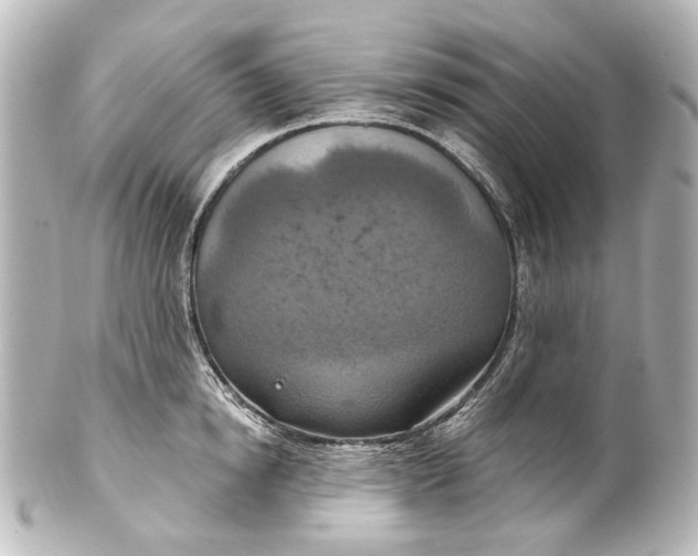 X0000101440854200807281021