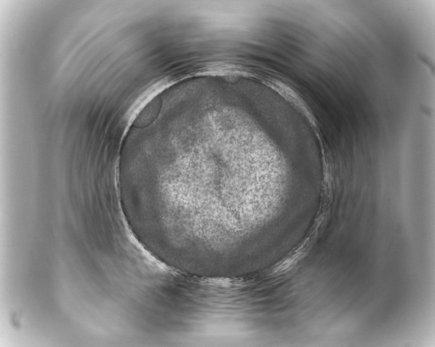 X0000101440855200807281021